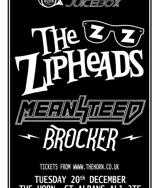 ST ALBANS! Tuesday 20th Dec we play our last gig of the year at The Horn with our good mates The Zip…